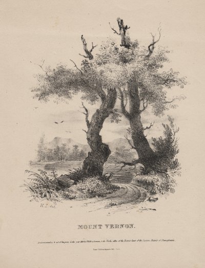 Mount Vernon da Henry Inman